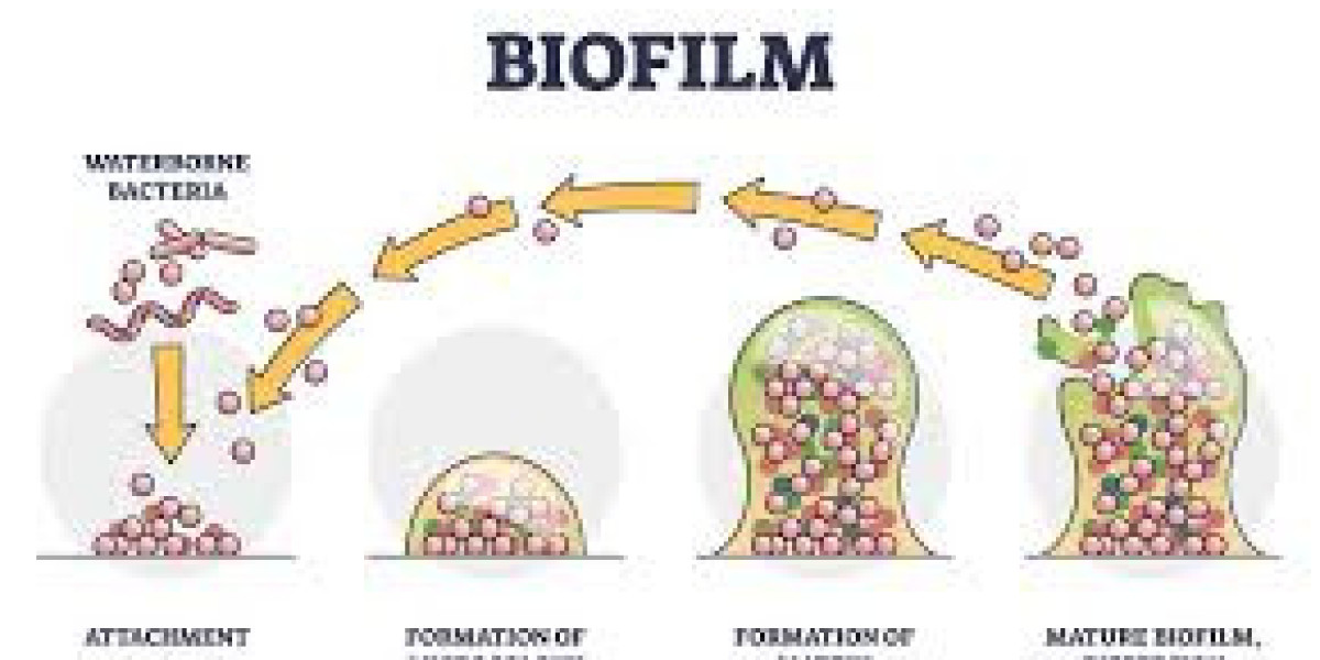 Breakthrough Innovations in Biofilms Treatment Market Research