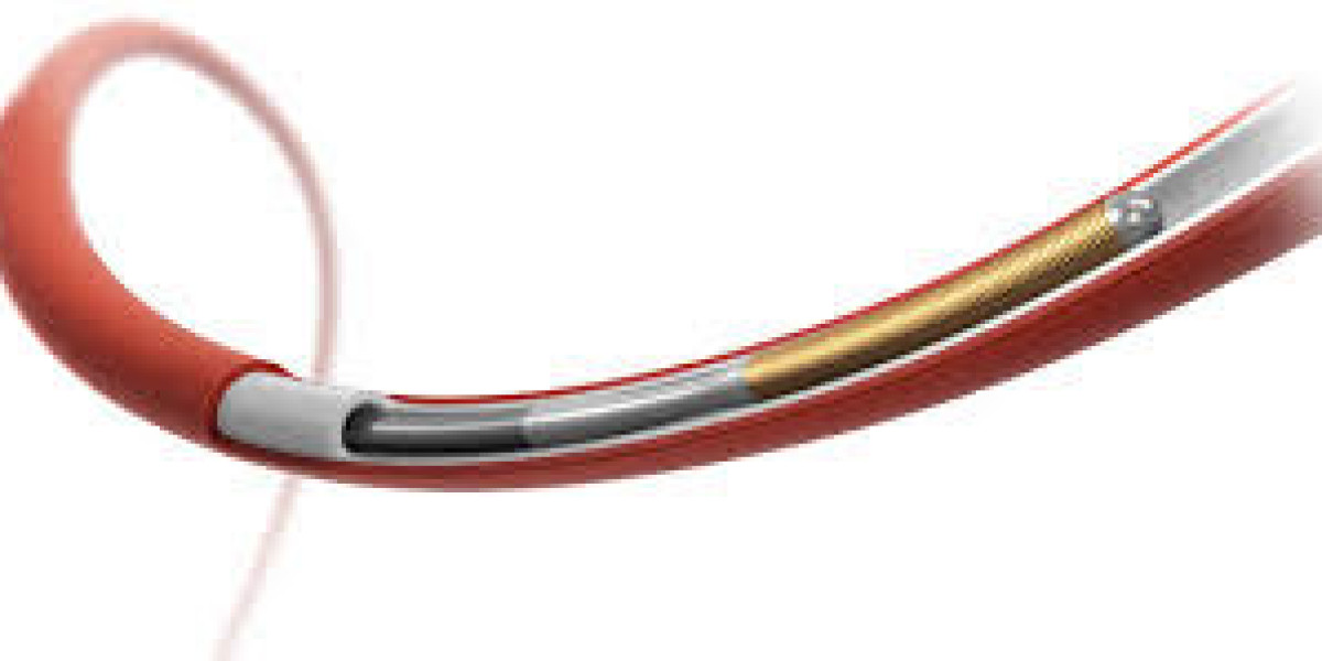 Expanding Opportunities in the Guidewires Market Research Sector
