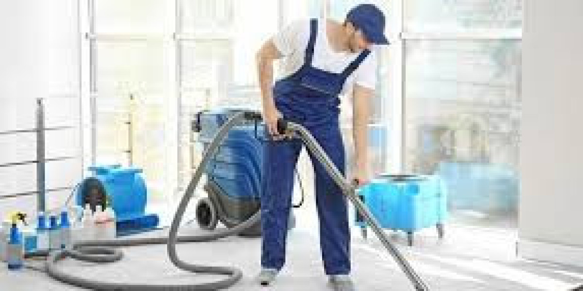 Carpet Cleaning Services That Lift Heavy Soil and Debris