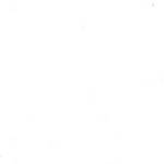 totodamagescam Profile Picture