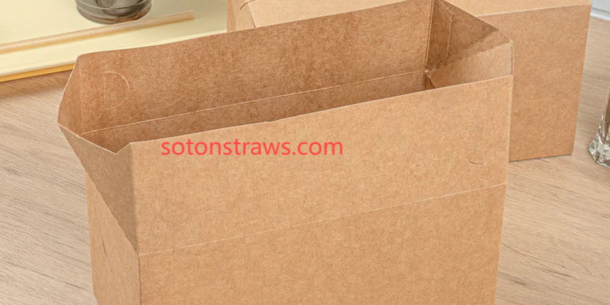 Soton Disposable Kraft Box: The Leak-Proof Revolution