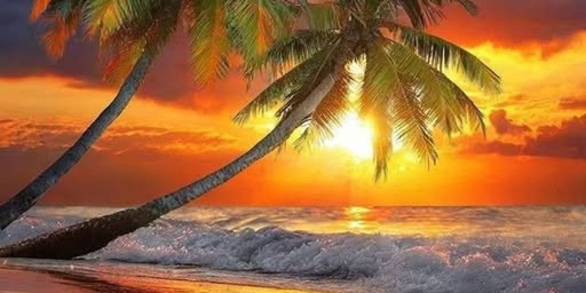 Denver Broncos 2025 main pending totally free brokers