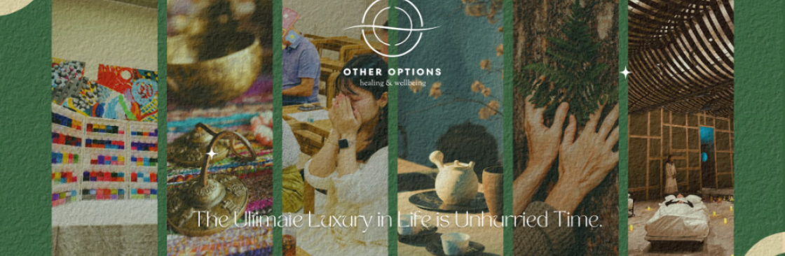 Other Options Healing and Coaching Cover Image