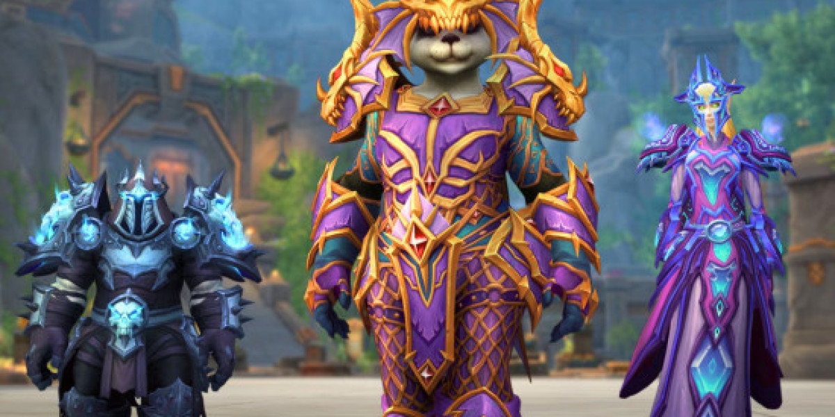 MMOexp WoW Classic 20th Anniversary: The Paladin's Beginning