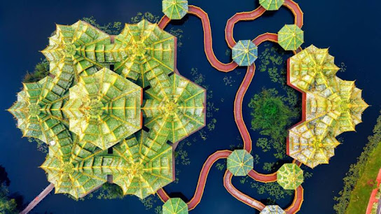 Especialista en equilibrio energético: el camino hacia una vida más consciente y en armonía