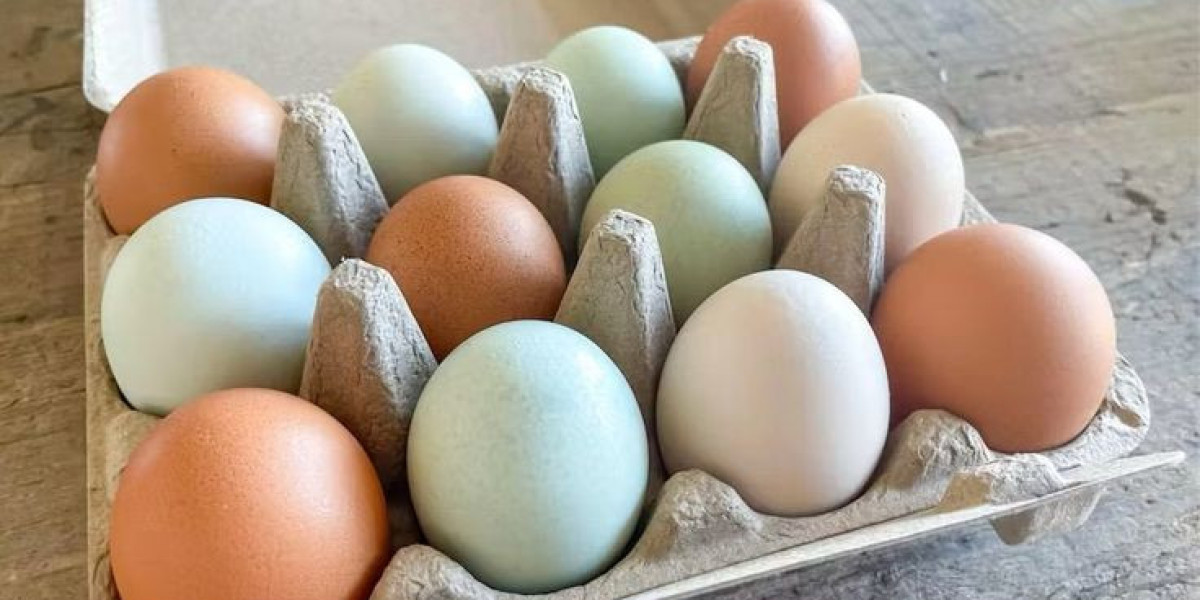 How Customized Egg Cartons Improve Farm Branding