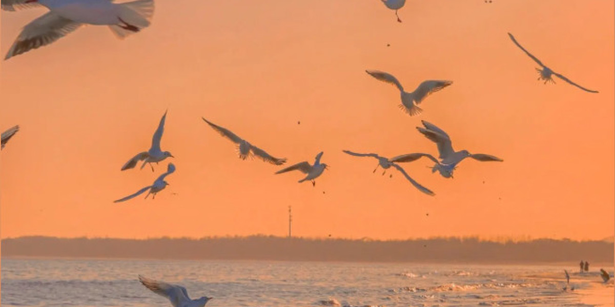 U4GM What to Stockpile Now for Diablo 4 Next Season