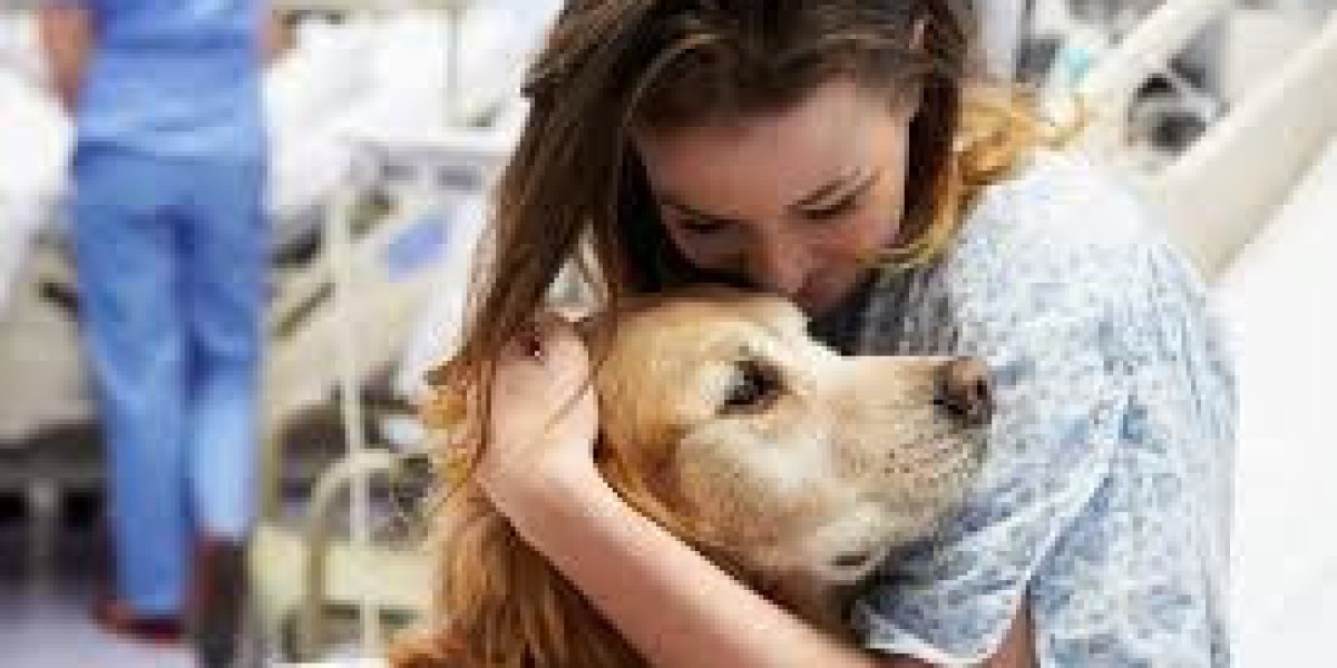 How Mental Health Dogs Improve Daily Emotional Life