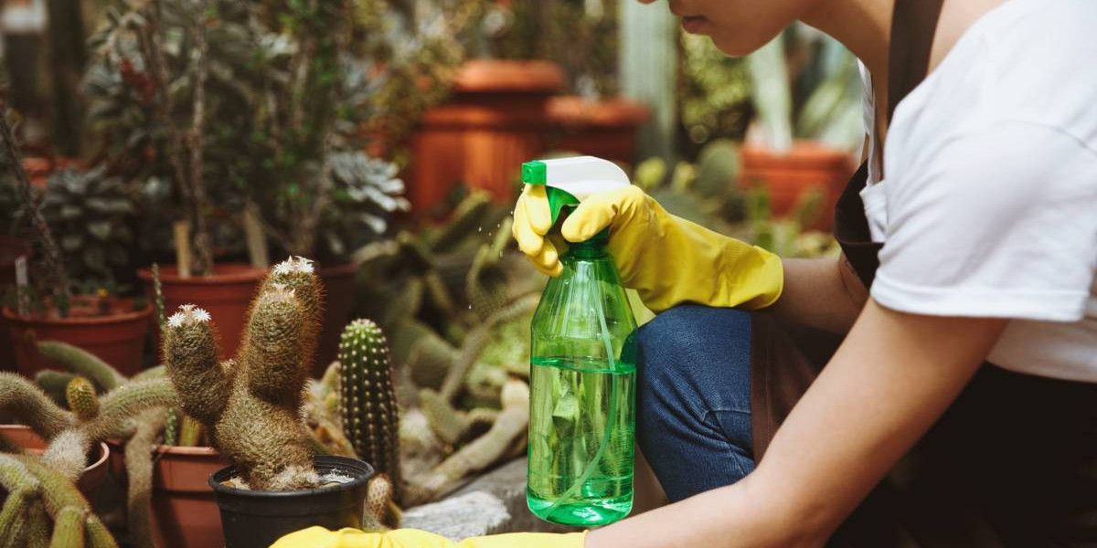 Green Cleaning Services: Eco-Friendly Solutions for a Healthier Home