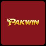 pakwingame Profile Picture