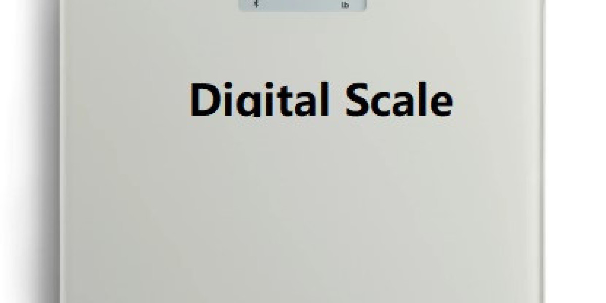 Digital Kitchen Scale Precision by Chinazhengya